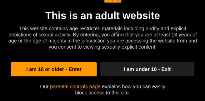 Leeftijdsverificatie scherm op een adult website met keuze tussen 18+ toegang of verlaten van de site